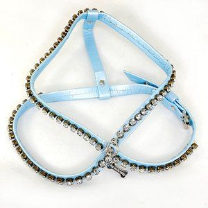 Crystal & Blue Leather Harness, 17”-20”